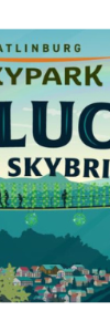 Get Lucky at the SkyPark Skybridge