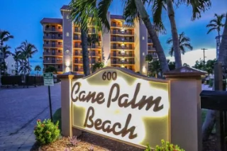 Cane Palm Beach Cane Palm Beach