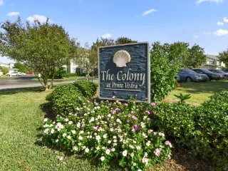 The Colony The Colony