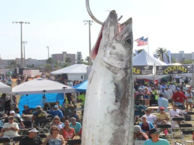 Fall King of the Beach Kingfish Tournament Fall King of the Beach Kingfish Tournament