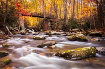 FALL SAVE MORE | 20% off 2+ nights | Smoky Mountains FALL SAVE MORE | 20% off 2+ nights | Smoky Mountains