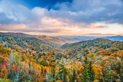 NOW thru OCTOBER | Stay 3 Nights Get 1 Free | Smoky Mountains NOW thru OCTOBER | Stay 3 Nights Get 1 Free | Smoky Mountains