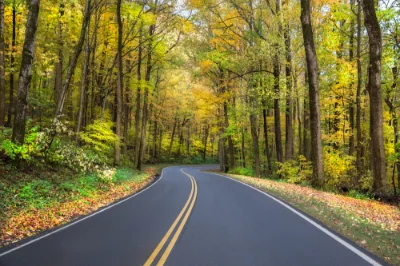 2024 VACAY | 10% off 7+ nights | Smoky Mountains Tennessee 2024 VACAY | 10% off 7+ nights | Smoky Mountains Tennessee