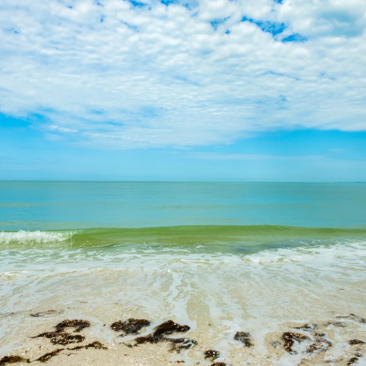Fort Myers Beach | Distinctive Beach Rentals Fort Myers Beach | Distinctive Beach Rentals