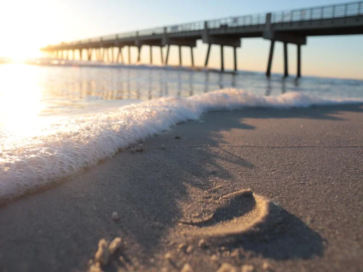 Jacksonville Beach Vacation Rentals | Distinctive Beach Rentals Jacksonville Beach Vacation Rentals | Distinctive Beach Rentals