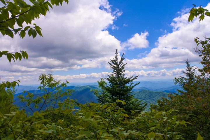 Cabins In Sevierville, TN | Jackson Mountain Rentals Cabins In Sevierville, TN | Jackson Mountain Rentals
