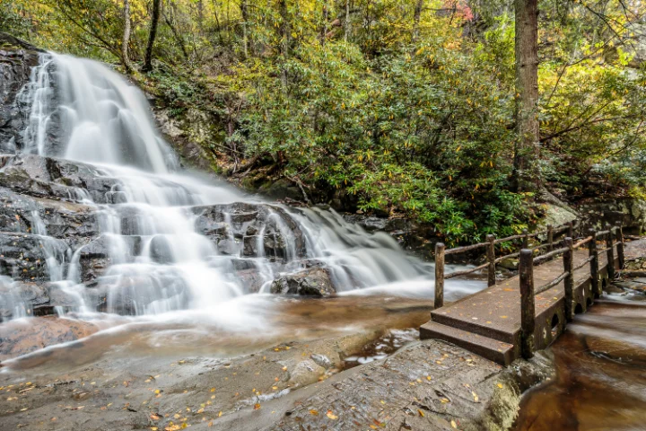 Resorts In Pigeon Forge | Jackson Mountain Rentals Resorts In Pigeon Forge | Jackson Mountain Rentals