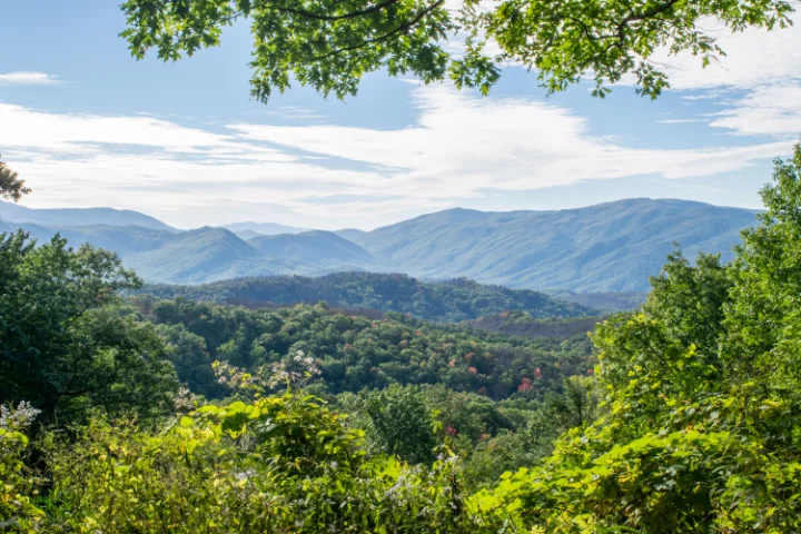 Resorts In Pigeon Forge | Jackson Mountain Rentals Resorts In Pigeon Forge | Jackson Mountain Rentals