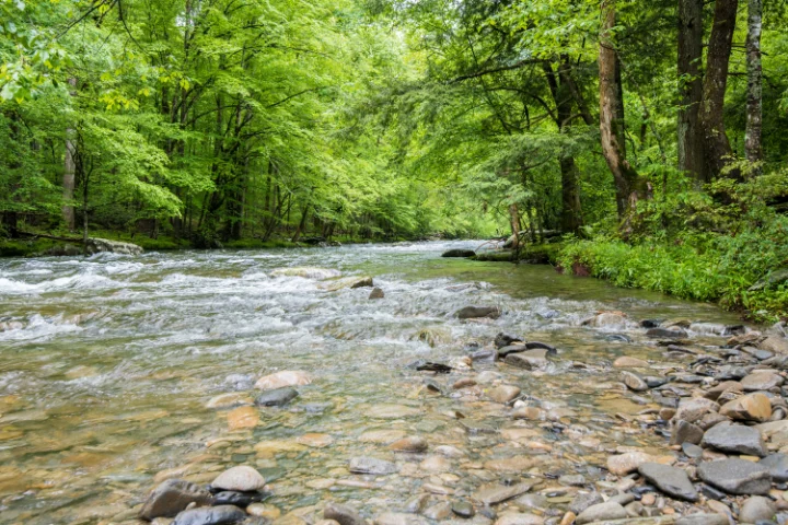 Cabins In Sevierville, TN | Jackson Mountain Rentals Cabins In Sevierville, TN | Jackson Mountain Rentals