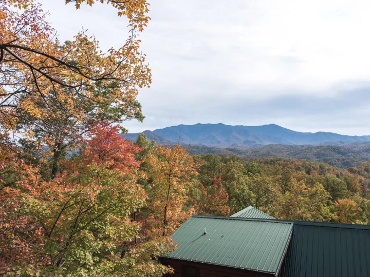 Black Bear Falls Cabins Gatlinburg | Jackson Mountain Rentals Black Bear Falls Cabins Gatlinburg | Jackson Mountain Rentals