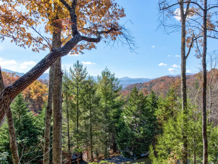 Black Bear Falls Cabins Gatlinburg | Jackson Mountain Rentals Black Bear Falls Cabins Gatlinburg | Jackson Mountain Rentals