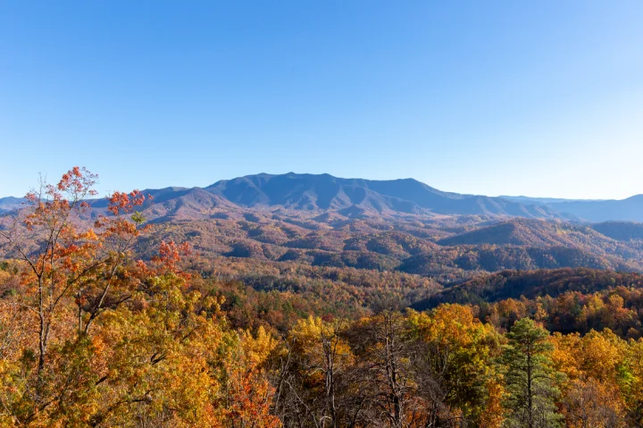 Pet Friendly Cabins In Gatlinburg, TN | Jackson Mountain Rentals Pet Friendly Cabins In Gatlinburg, TN | Jackson Mountain Rentals