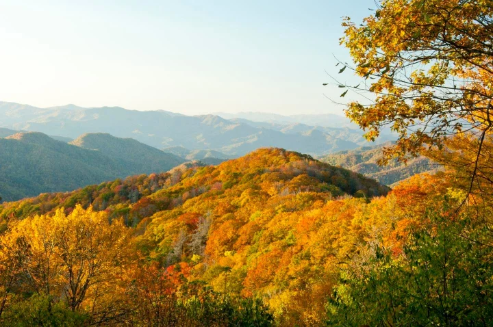Resorts In Pigeon Forge | Jackson Mountain Rentals Resorts In Pigeon Forge | Jackson Mountain Rentals