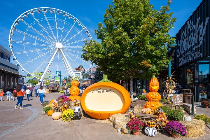 Resorts In Pigeon Forge | Jackson Mountain Rentals Resorts In Pigeon Forge | Jackson Mountain Rentals