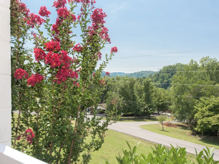 Mountain Shadows Cabins Gatlinburg | Jackson Mountain Rentals Mountain Shadows Cabins Gatlinburg | Jackson Mountain Rentals