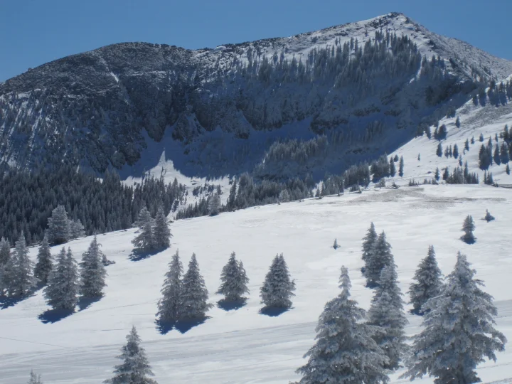 Hart Ave | Ruidoso Vacation Rentals Hart Ave | Ruidoso Vacation Rentals
