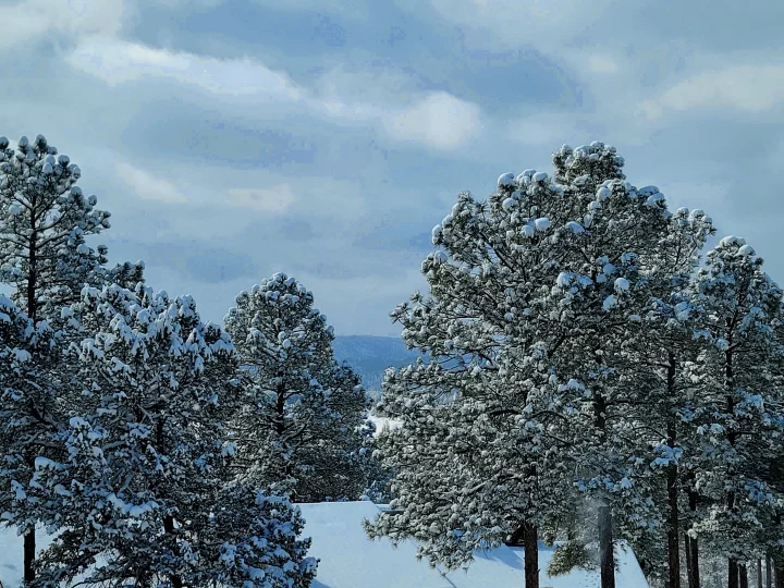 Cree Meadows | Ruidoso Vacation Rentals Cree Meadows | Ruidoso Vacation Rentals