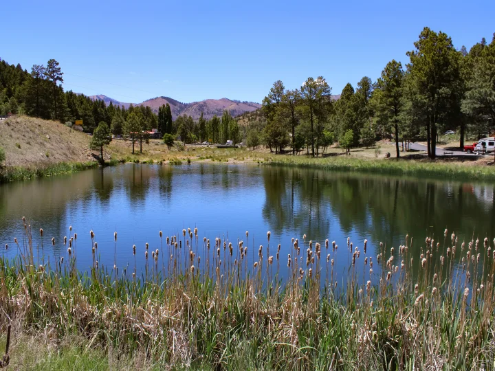 Mechem Drive | Ruidoso Vacation Rentals Mechem Drive | Ruidoso Vacation Rentals