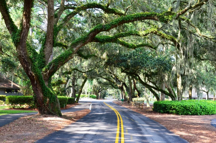 Homes | Hilton Head | A VTrips Experience Homes | Hilton Head | A VTrips Experience
