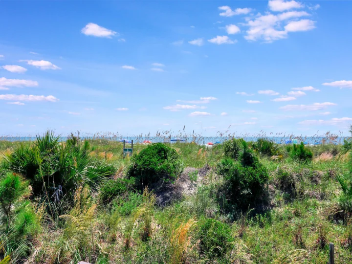 Homes | Hilton Head | A VTrips Experience Homes | Hilton Head | A VTrips Experience