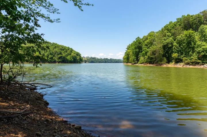 Douglas Lake Cabin Rentals In Tennessee | VTrips Douglas Lake Cabin Rentals In Tennessee | VTrips