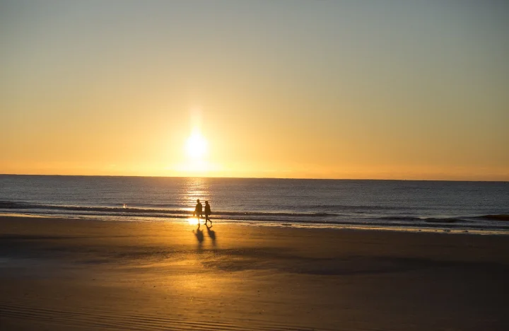 Palmetto Dunes Hilton Head Rentals, SC | VTrips Palmetto Dunes Hilton Head Rentals, SC | VTrips