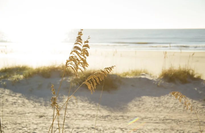 Palmetto Dunes Hilton Head Rentals, SC | VTrips Palmetto Dunes Hilton Head Rentals, SC | VTrips