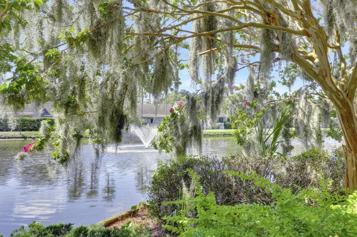 Mid Island | Hilton Head Vacation Rentals | A VTrips Experience Mid Island | Hilton Head Vacation Rentals | A VTrips Experience