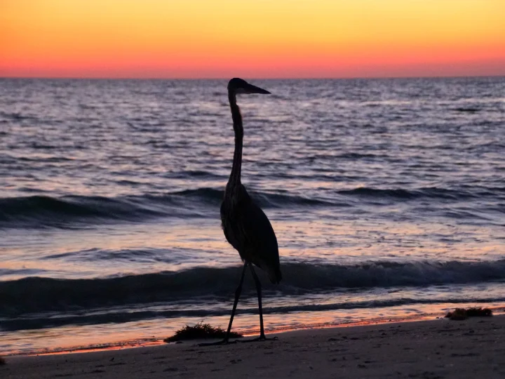 Boca Vista | Madeira Beach, FL | VTrips Boca Vista | Madeira Beach, FL | VTrips
