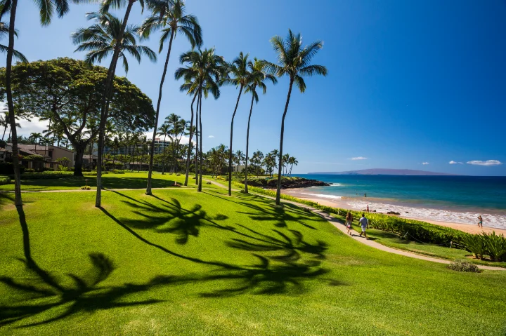 Hawaii Vacation Rentals by VTrips Hawaii Vacation Rentals by VTrips