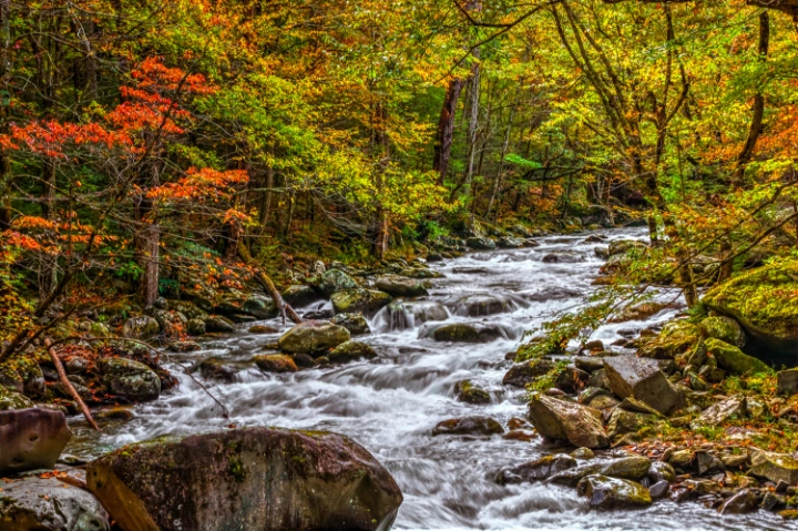 Sevierville Vacation Rentals | Jackson Mountain Rentals | A VTrips Experience Sevierville Vacation Rentals | Jackson Mountain Rentals | A VTrips Experience