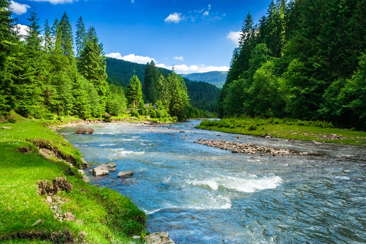 Cobbly Nob Vacation Rentals | Cabin Rentals | Jackson Mountain Rentals Cobbly Nob Vacation Rentals | Cabin Rentals | Jackson Mountain Rentals
