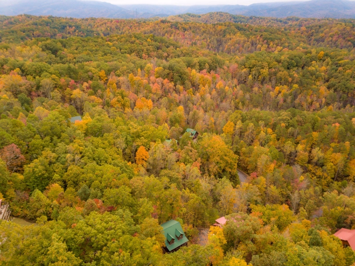 Birds Creek | Jackson Mountain Rentals | A VTrips Experience Birds Creek | Jackson Mountain Rentals | A VTrips Experience