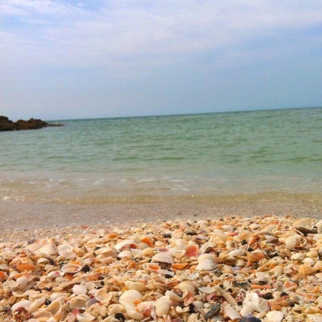 Discover Bonita Springs | Distinctive Beach Rentals | Small Town Charm Discover Bonita Springs | Distinctive Beach Rentals | Small Town Charm