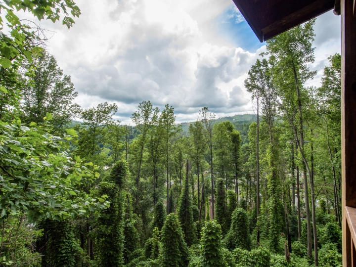Roaring Fork | Gatlinburg Mountain View Rentals | Jackson Mountain Rentals Roaring Fork | Gatlinburg Mountain View Rentals | Jackson Mountain Rentals