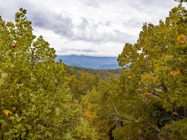 East 321 | Gatlinburg Vacation Rentals | Jackson Mountain Rentals East 321 | Gatlinburg Vacation Rentals | Jackson Mountain Rentals