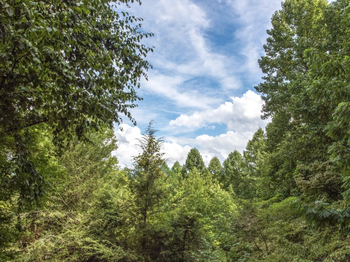 Mills Park | Arts & Crafts Community | Jackson Mountain Rentals Mills Park | Arts & Crafts Community | Jackson Mountain Rentals