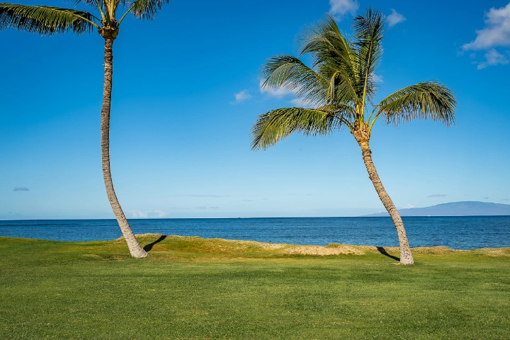 Hawaii Vacation Rentals by VTrips Hawaii Vacation Rentals by VTrips