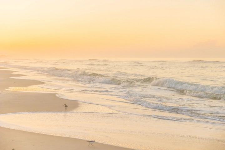 Fort Morgan | Alabama Vacation Rentals by VTrips Fort Morgan | Alabama Vacation Rentals by VTrips