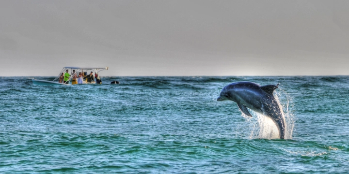 Panama City Beach | Florida Vacation Rentals by VTrips Panama City Beach | Florida Vacation Rentals by VTrips