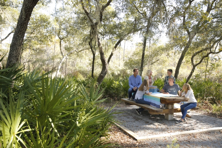Panama City Beach | Florida Vacation Rentals by VTrips Panama City Beach | Florida Vacation Rentals by VTrips
