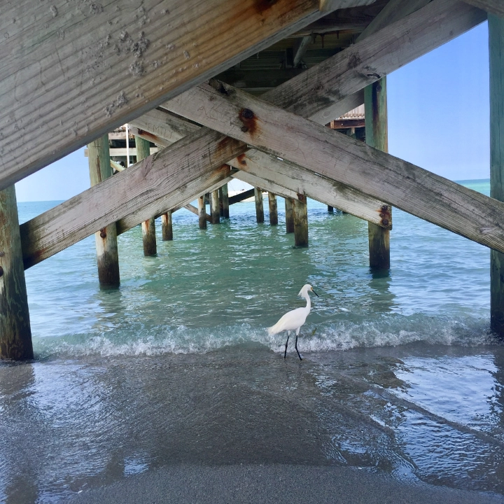 Indian Shores | Florida Vacation Rentals by VTrips Indian Shores | Florida Vacation Rentals by VTrips