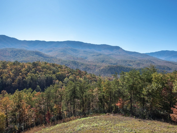 Hemlock Hills | Jackson Mountain Rentals | A VTrips Experience Hemlock Hills | Jackson Mountain Rentals | A VTrips Experience