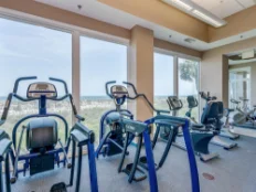 Gym Equipment Gym Equipment
