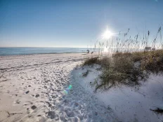 Community Beach Community Beach