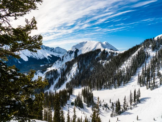 Our management portfolio comprises over 7,000 properties in 10 states throughout the United States Our management portfolio comprises over 7,000 properties in 10 states throughout the United States
