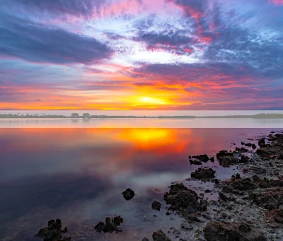 Relax and Save in Southwest Florida