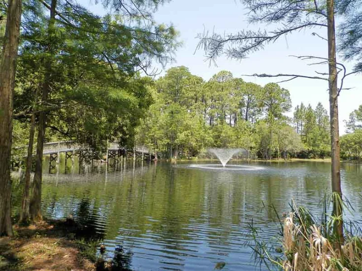Lake View Lake View