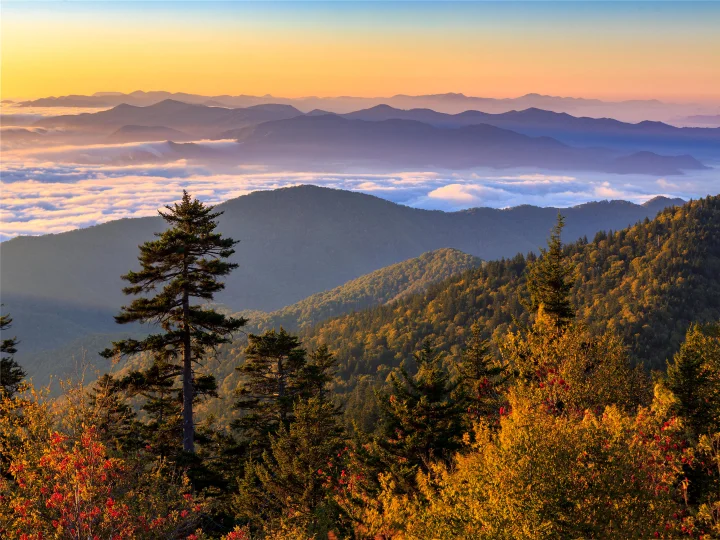 Gatlinburg Resorts & Cabin Rentals | Jackson Mountain Rental
